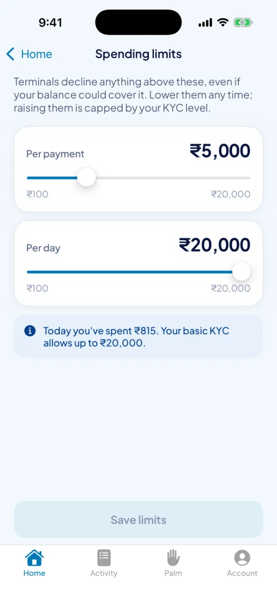 Spending limits per payment and per day